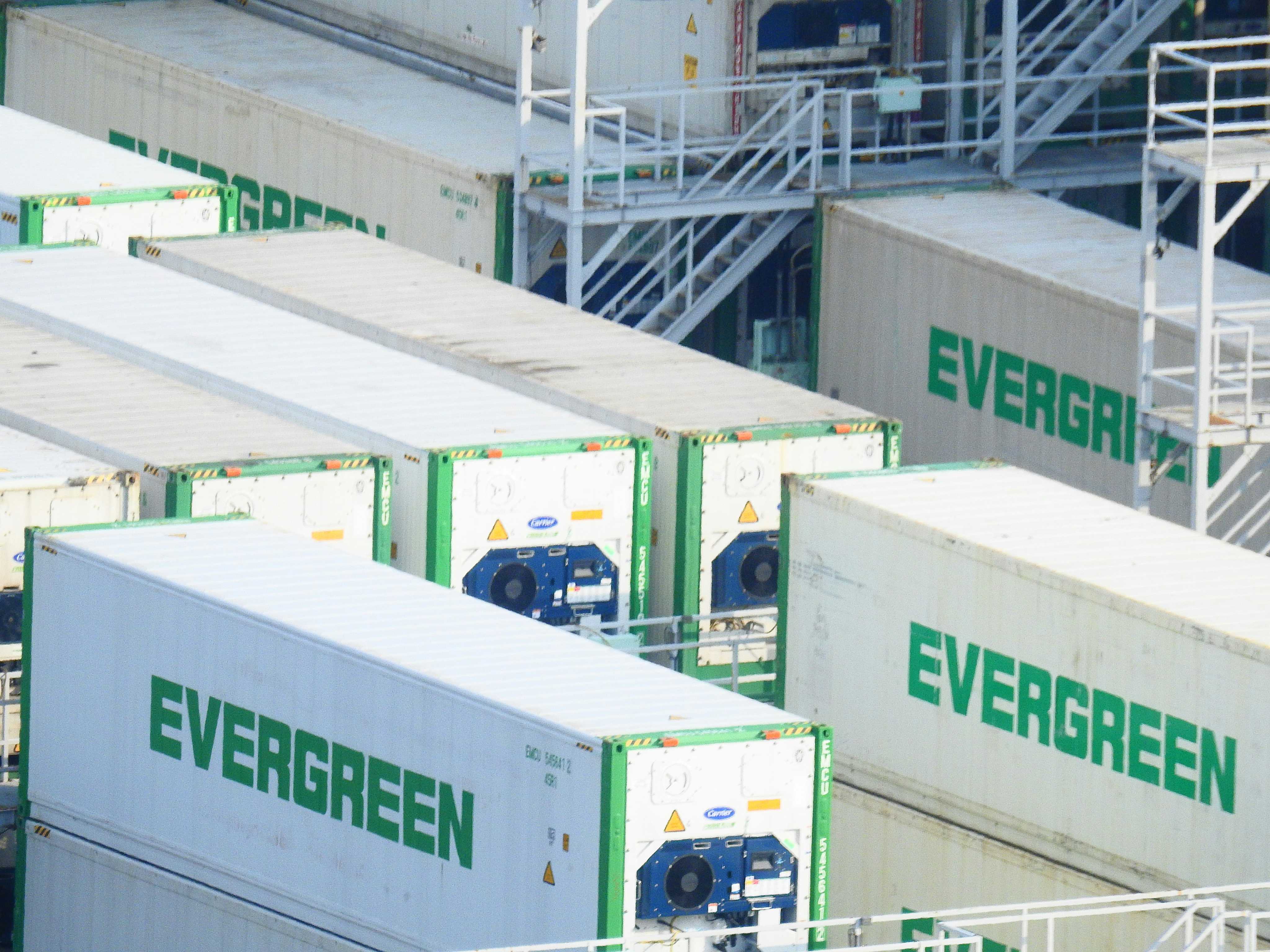 Reefer Container Shipping cargo handled by the Bromley Logistics operations team